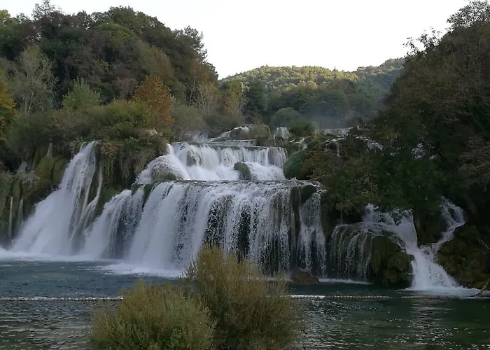 Domenico לוזובאק