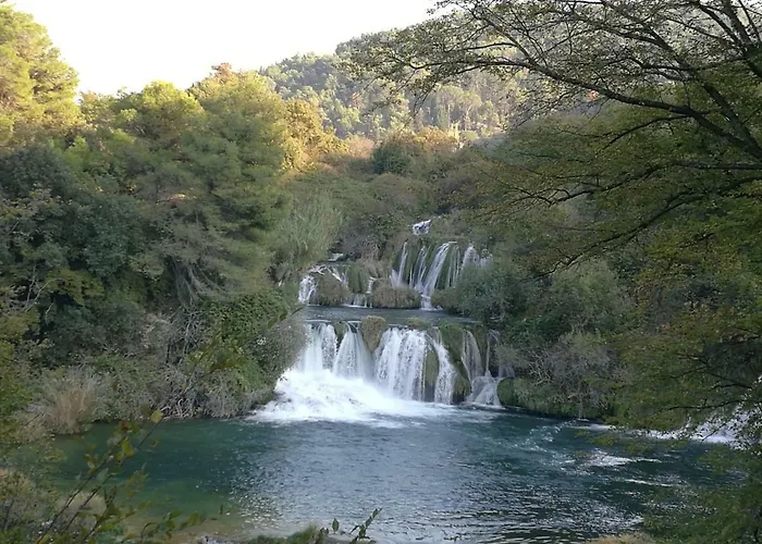 Domenico Affittacamere