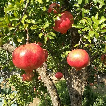 Konukevi Domenico 4*