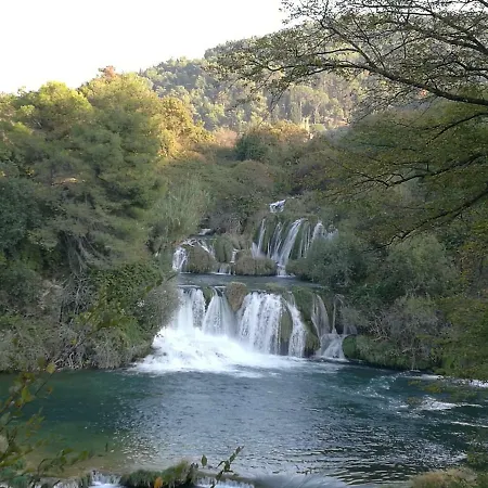 Domenico Affittacamere