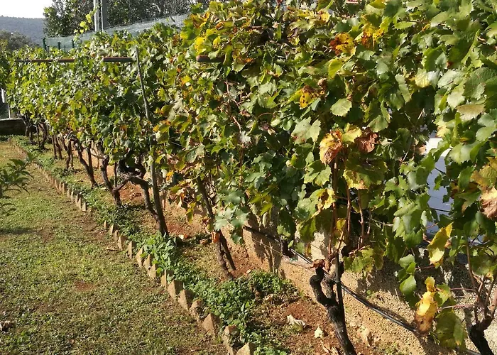 Domenico Gasthuis 4*