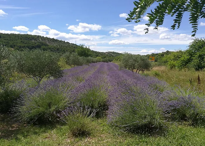Domenico Penzion Lozovac